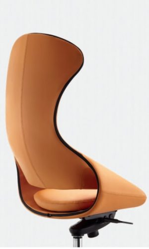 Fancy Chair 2